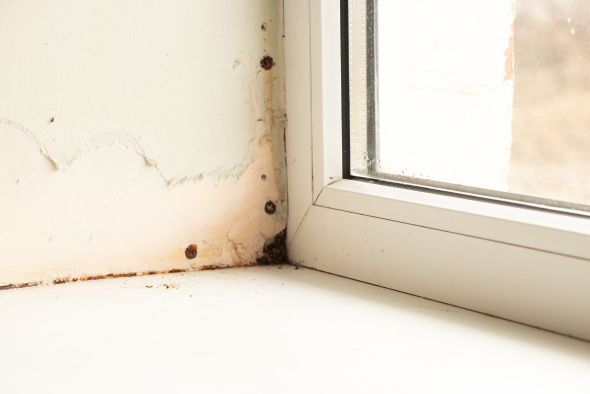 Crawl Space & Moisture Issues In Richmond